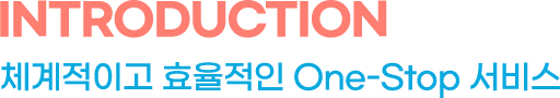 introduction 체계적이고 효율적인 one-stop 서비스